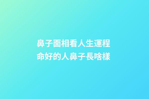 鼻子面相看人生運程 命好的人鼻子長啥樣